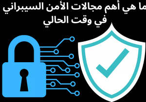 Read more about the article ما هي أهم مجالات الأمن السيبراني في وقت الحالي؟