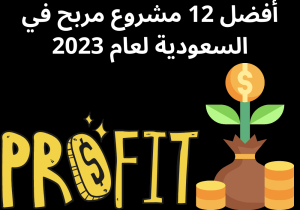 Read more about the article أفضل 12 مشروع مربح في السعودية لعام 2023
