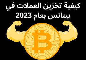 Read more about the article كيفية تخزين العملات في بينانس بعام 2023